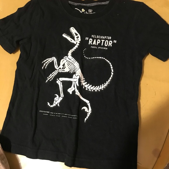 Short size 2 - Picture 4 of 6